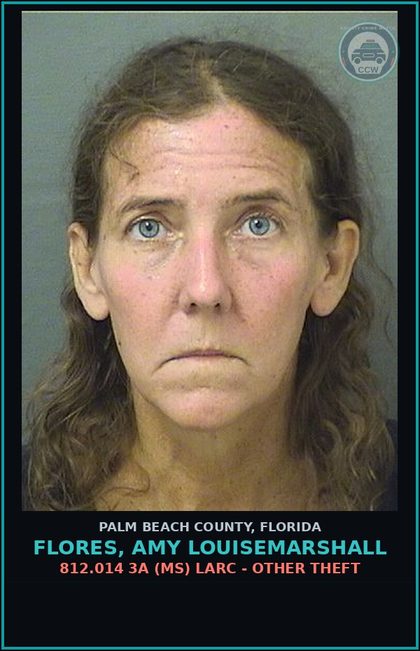 CCW arrest card for FLORES, AMY LOUISEMARSHALL in Palm Beach County: 812.014 3A (MS) LARC - OTHER THEFT