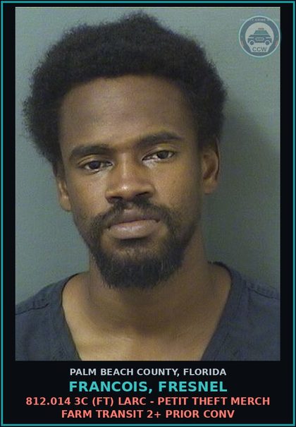 CCW arrest card for FRANCOIS, FRESNEL in Palm Beach County: 812.014 3C (FT) LARC - PETIT THEFT MERCH FARM TRANSIT 2+ PRIOR CONV