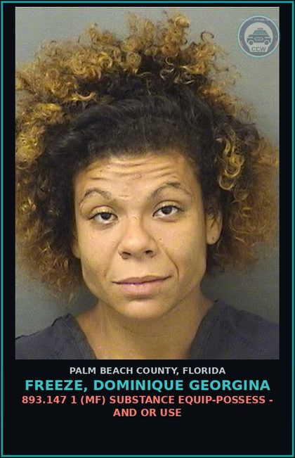 CCW arrest card for FREEZE, DOMINIQUE GEORGINA in Palm Beach County: 893.13 6A (FT) DRUGS-POSSESS - POSSESS contr substance W/O PRESCRIPTION