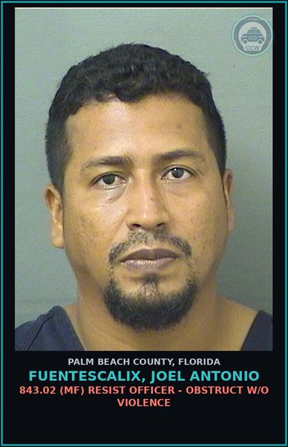 CCW arrest card for FUENTESCALIX, JOEL ANTONIO in Palm Beach County: 843.02 (MF) RESIST OFFICER - OBSTRUCT W/O VIOLENCE