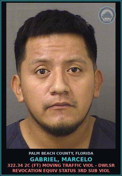 CCW arrest card for GABRIEL, MARCELO in Palm Beach County: 322.34 2C (FT) MOVING TRAFFIC VIOL - DWLSR REVOCATION EQUIV STATUS 3RD SUB VIOL