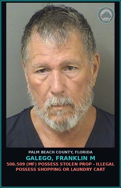 CCW arrest card for GALEGO, FRANKLIN M in Palm Beach County: 506.509 (MF) POSSESS STOLEN PROP - ILLEGAL POSSESS SHOPPING OR LAUNDRY CART