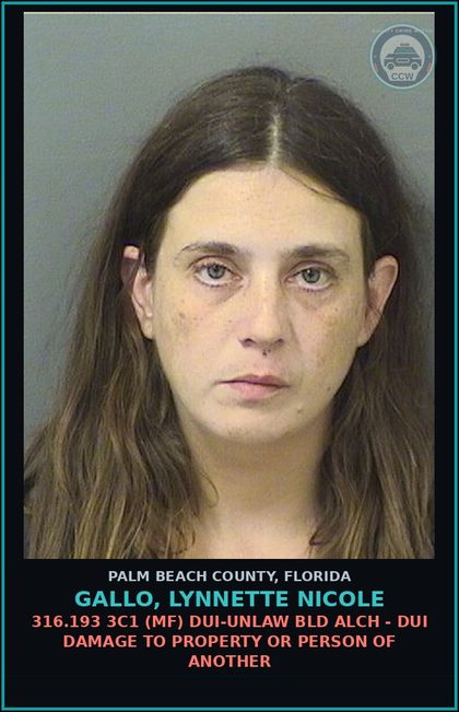 CCW arrest card for GALLO, LYNNETTE NICOLE in Palm Beach County: 316.193 3C1 (MF) DUI-UNLAW BLD ALCH - DUI DAMAGE TO PROPERTY OR PERSON OF ANOTHER