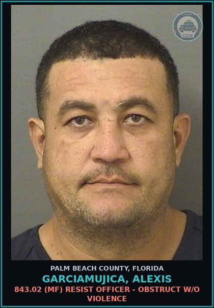 CCW arrest card for GARCIAMUJICA, ALEXIS in Palm Beach County: 893.13 6B (MF) Canna-POSSESS - POSSESS LESS THAN 20 GRAMS Canna