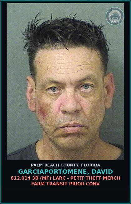 CCW arrest card for GARCIAPORTOMENE, DAVID in Palm Beach County: 812.014 3B (MF) LARC - PETIT THEFT MERCH FARM TRANSIT PRIOR CONV