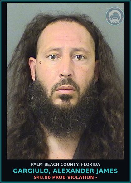 CCW arrest card for GARGIULO, ALEXANDER JAMES in Palm Beach County: 948.06 PROB VIOLATION -