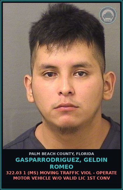 CCW arrest card for GASPARRODRIGUEZ, GELDIN ROMEO in Palm Beach County: 322.03 1 (MS) MOVING TRAFFIC VIOL - OPERATE MOTOR VEHICLE W/O VALID LIC 1ST CONV
