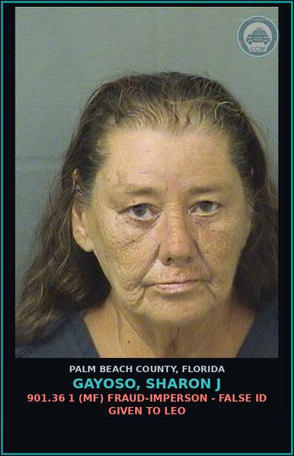 CCW arrest card for GAYOSO, SHARON J in Palm Beach County: 843.02 (MF) RESIST OFFICER - OBSTRUCT W/O VIOLENCE