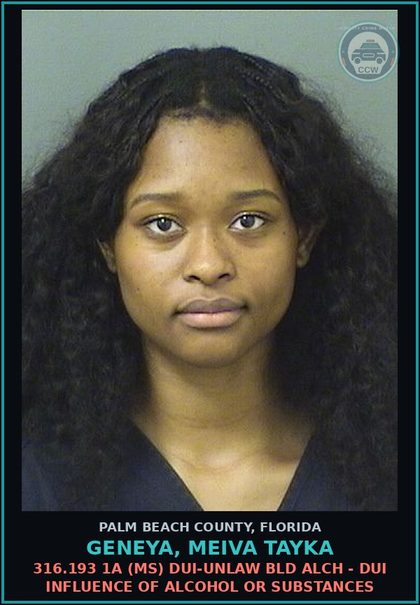 CCW arrest card for GENEYA, MEIVA TAYKA in Palm Beach County: 316.193 1A (MS) DUI-UNLAW BLD ALCH - DUI INFLUENCE OF ALCOHOL OR DRUGS