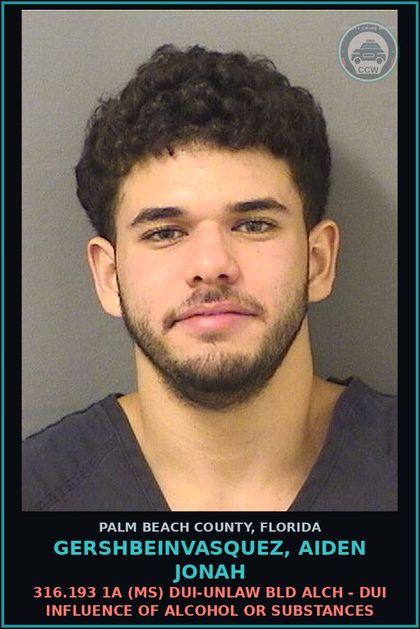 CCW arrest card for GERSHBEINVASQUEZ, AIDEN JONAH in Palm Beach County: 316.193 1A (MS) DUI-UNLAW BLD ALCH - DUI INFLUENCE OF ALCOHOL OR DRUGS