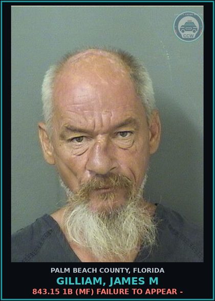 CCW arrest card for GILLIAM, JAMES M in Palm Beach County: 810.08 1 (MS) TRESPASSING - TRESPASSING STRUCTURE OR CONVEYANCE
