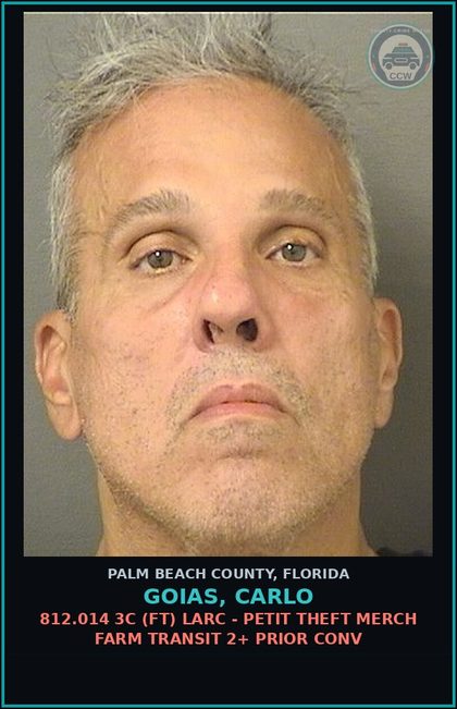 CCW arrest card for GOIAS, CARLO in Palm Beach County: 812.014 3C (FT) LARC - PETIT THEFT MERCH FARM TRANSIT 2+ PRIOR CONV
