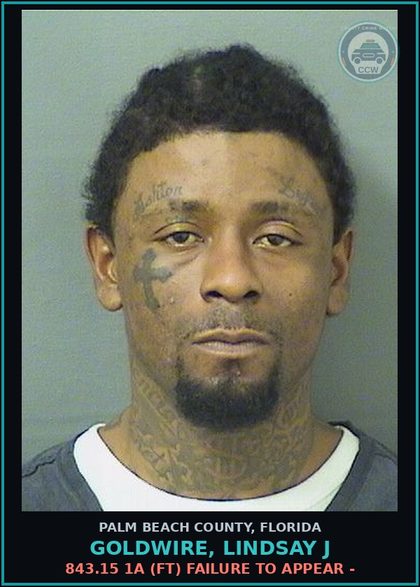 CCW arrest card for GOLDWIRE, LINDSAY J in Palm Beach County: 843.15 1A (FT) FAILURE TO APPEAR -