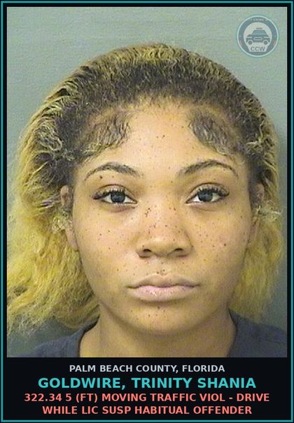 CCW arrest card for GOLDWIRE, TRINITY SHANIA in Palm Beach County: 322.34 5 (FT) MOVING TRAFFIC VIOL - DRIVE WHILE LIC SUSP HABITUAL OFFENDER