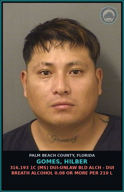 CCW arrest card for GOMES, HILBER in Palm Beach County: 316.193 1C (MS) DUI-UNLAW BLD ALCH - DUI BREATH ALCOHOL 0.08 OR MORE PER 210 L