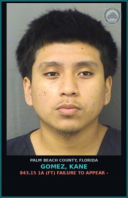 CCW arrest card for GOMEZ, KANE in Palm Beach County: 843.15 1A (FT) FAILURE TO APPEAR -