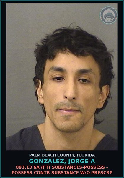 CCW arrest card for GONZALEZ, JORGE A in Palm Beach County: 893.13 6A (FT) DRUGS-POSSESS - POSSESS contr substance W/O PRESCRIPTION