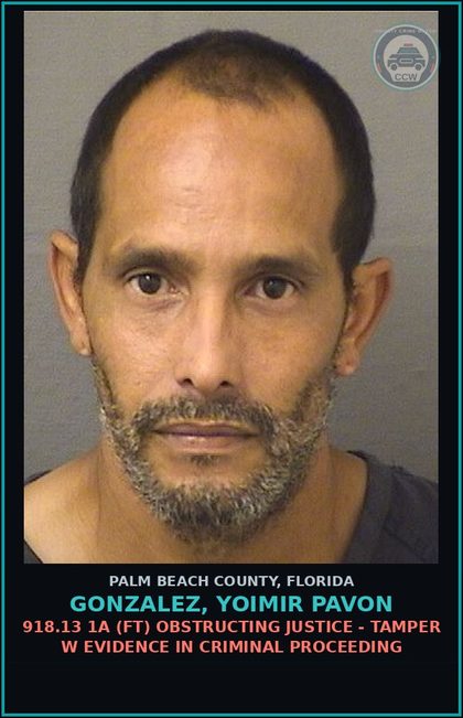 CCW arrest card for GONZALEZ, YOIMIR PAVON in Palm Beach County: 893.13 6A (FT) DRUGS-POSSESS - POSSESS contr substance W/O PRESCRIPTION