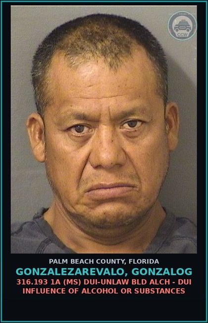 CCW arrest card for GONZALEZAREVALO, GONZALOG in Palm Beach County: 316.193 1A (MS) DUI-UNLAW BLD ALCH - DUI INFLUENCE OF ALCOHOL OR DRUGS