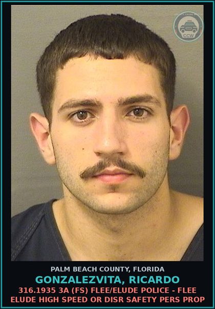 CCW arrest card for GONZALEZVITA, RICARDO in Palm Beach County: 316.1935 3A (FS) FLEE/ELUDE POLICE - FLEE ELUDE HIGH SPEED OR DISR SAFETY PERS PROP