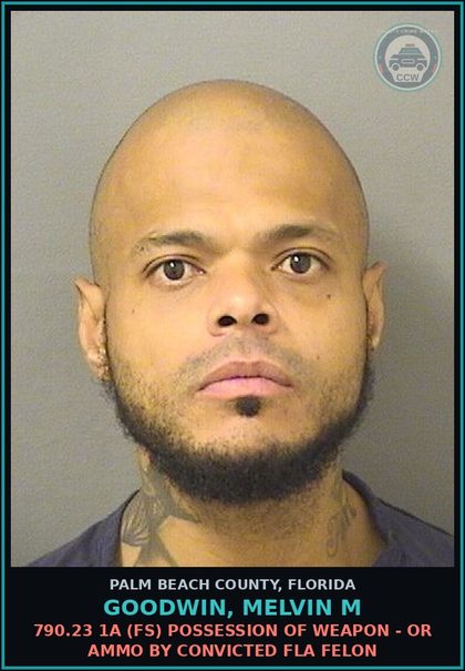 CCW arrest card for GOODWIN, MELVIN M in Palm Beach County: 893.147 1 (MF) DRUG EQUIP-POSSESS - AND OR USE
