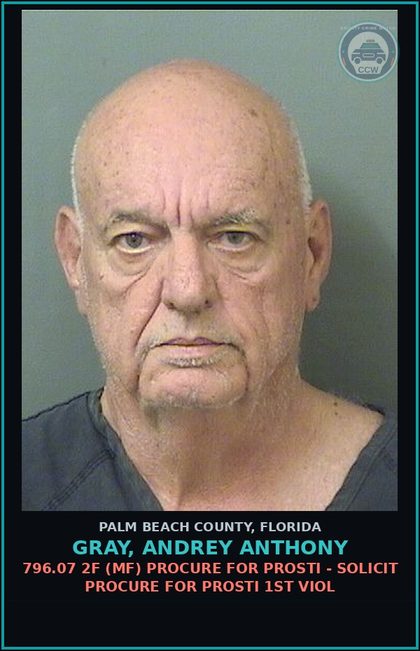 CCW arrest card for GRAY, ANDREY ANTHONY in Palm Beach County: 796.07 2F (MF) PROCURE FOR Prosti - SOLICIT PROCURE FOR Prosti 1ST VIOL