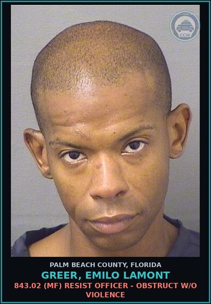 CCW arrest card for GREER, EMILO LAMONT in Palm Beach County: 812.014 3C (FT) LARC - PETIT THEFT MERCH FARM TRANSIT 2+ PRIOR CONV