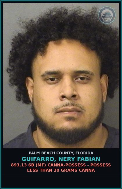 CCW arrest card for GUIFARRO, NERY FABIAN in Palm Beach County: 893.13 6A (FT) DRUGS-POSSESS - POSSESS contr substance W/O PRESCRIPTION