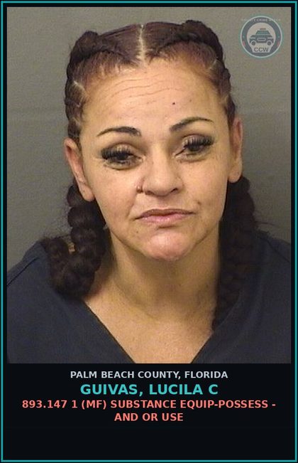 CCW arrest card for GUIVAS, LUCILA C in Palm Beach County: 893.13 1A1 (FS) DRUGS-POSSESS - POSS INTENT SELL/MFG/DELIV CTRL SUB SCHEDULE I