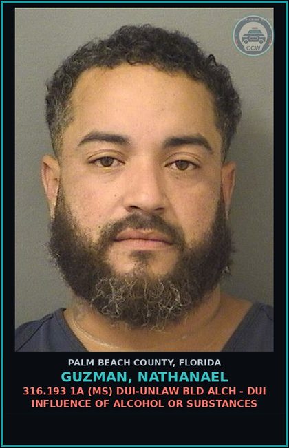 CCW arrest card for GUZMAN, NATHANAEL in Palm Beach County: 316.193 1A (MS) DUI-UNLAW BLD ALCH - DUI INFLUENCE OF ALCOHOL OR DRUGS