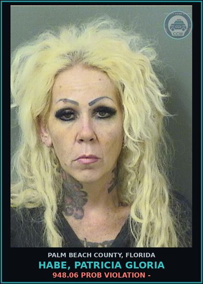 CCW arrest card for HABE, PATRICIA GLORIA in Palm Beach County: 948.06 PROB VIOLATION -
