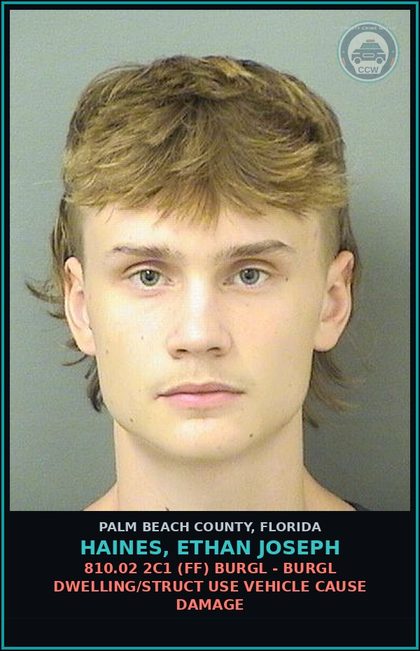 CCW arrest card for HAINES, ETHAN JOSEPH in Palm Beach County: 810.02 2C1 (FF) BURGL - BURGL DWELLING/STRUCT USE VEHICLE CAUSE DAMAGE