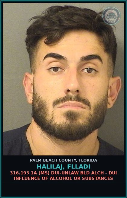 CCW arrest card for HALILAJ, FLLADI in Palm Beach County: 316.193 1A (MS) DUI-UNLAW BLD ALCH - DUI INFLUENCE OF ALCOHOL OR DRUGS