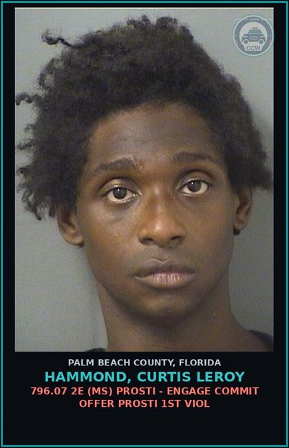 CCW arrest card for HAMMOND, CURTIS LEROY in Palm Beach County: 796.07 2E (MS) Prosti - ENGAGE COMMIT OFFER Prosti 1ST VIOL