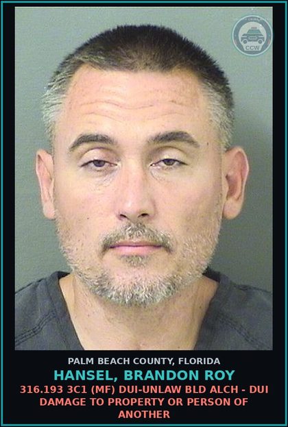 CCW arrest card for HANSEL, BRANDON ROY in Palm Beach County: 893.13 6A (FT) DRUGS-POSSESS - POSSESS contr substance W/O PRESCRIPTION