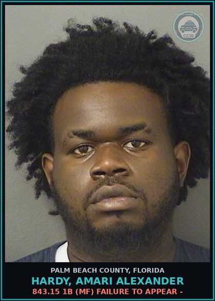 CCW arrest card for HARDY, AMARI ALEXANDER in Palm Beach County: 843.15 1B (MF) FAILURE TO APPEAR -