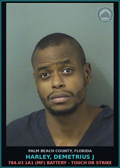 CCW arrest card for HARLEY, DEMETRIUS J in Palm Beach County: 784.03 1A1 (MF) BATTERY - TOUCH OR STRIKE