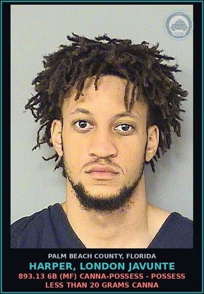CCW arrest card for HARPER, LONDON JAVUNTE in Palm Beach County: 893.13 6B (MF) Canna-POSSESS - POSSESS LESS THAN 20 GRAMS Canna