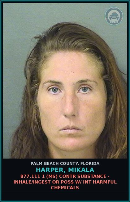 CCW arrest card for HARPER, MIKALA in Palm Beach County: 843.01 1 (FT) RESIST OFFICER - RESIST OFFICER WITH VIOLENCE