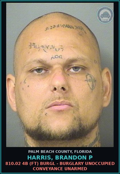 CCW arrest card for HARRIS, BRANDON P in Palm Beach County: 812.014 2C6 (FT) VEH THEFT - GRAND THEFT OF MOTOR VEHICLE