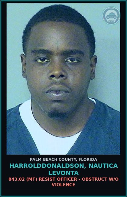 CCW arrest card for HARROLDDONALDSON, NAUTICA LEVONTA in Palm Beach County: 316.1935 2 (FT) FLEE/ELUDE POLICE - FLEE ELUDE LEO WITH LIGHTS SIREN ACTIVE