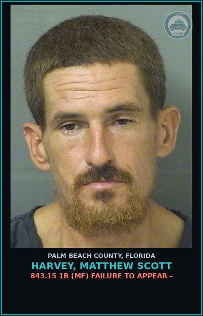 CCW arrest card for HARVEY, MATTHEW SCOTT in Palm Beach County: 843.15 1B (MF) FAILURE TO APPEAR -