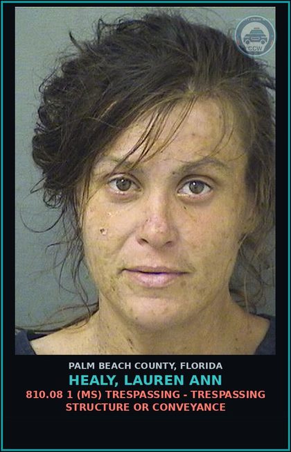 CCW arrest card for HEALY, LAUREN ANN in Palm Beach County: 810.08 1 (MS) TRESPASSING - TRESPASSING STRUCTURE OR CONVEYANCE