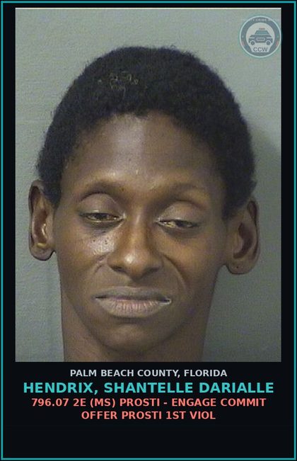 CCW arrest card for HENDRIX, SHANTELLE DARIALLE in Palm Beach County: 796.07 2E (MS) Prosti - ENGAGE COMMIT OFFER Prosti 1ST VIOL