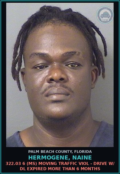 CCW arrest card for HERMOGENE, NAINE in Palm Beach County: 322.03 6 (MS) MOVING TRAFFIC VIOL - DRIVE W/ DL EXPIRED MORE THAN 6 MONTHS