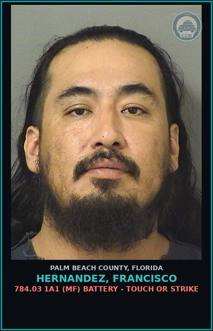 CCW arrest card for HERNANDEZ, FRANCISCO in Palm Beach County: 827.03 2C (FT) CRUELTY TOWARD chld - ABUSE chld WITHOUT GREAT BODILY HARM