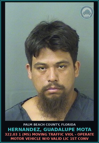CCW arrest card for HERNANDEZ, GUADALUPE MOTA in Palm Beach County: 322.03 1 (MS) MOVING TRAFFIC VIOL - OPERATE MOTOR VEHICLE W/O VALID LIC 1ST CONV