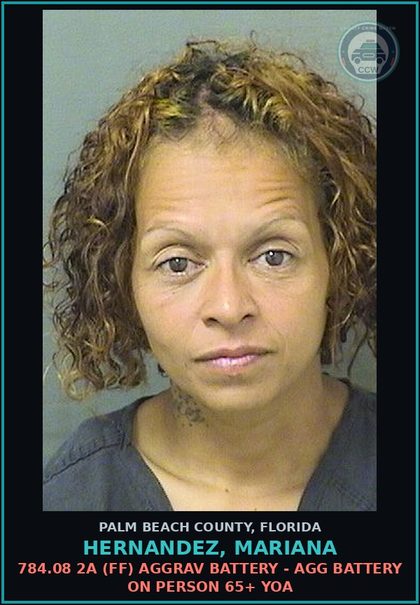 CCW arrest card for HERNANDEZ, MARIANA in Palm Beach County: 784.08 2A (FF) AGGRAV BATTERY - AGG BATTERY ON PERSON 65+ YOA