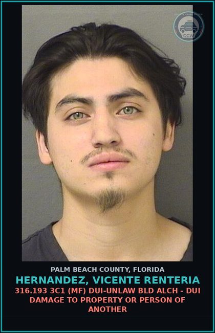 CCW arrest card for HERNANDEZ, VICENTE RENTERIA in Palm Beach County: 316.193 1C (MS) DUI-UNLAW BLD ALCH - DUI BREATH ALCOHOL 0.08 OR MORE PER 210 L