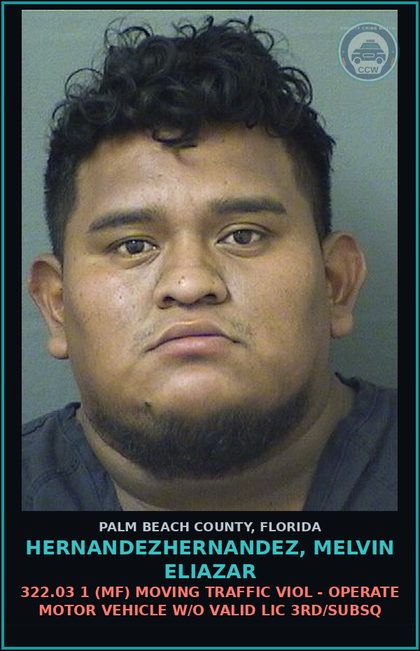 CCW arrest card for HERNANDEZHERNANDEZ, MELVIN ELIAZAR in Palm Beach County: 322.03 1 (MF) MOVING TRAFFIC VIOL - OPERATE MOTOR VEHICLE W/O VALID LIC 3RD/SUBSQ